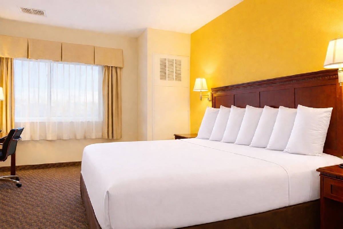 1 King Bed Honeymoon Suite